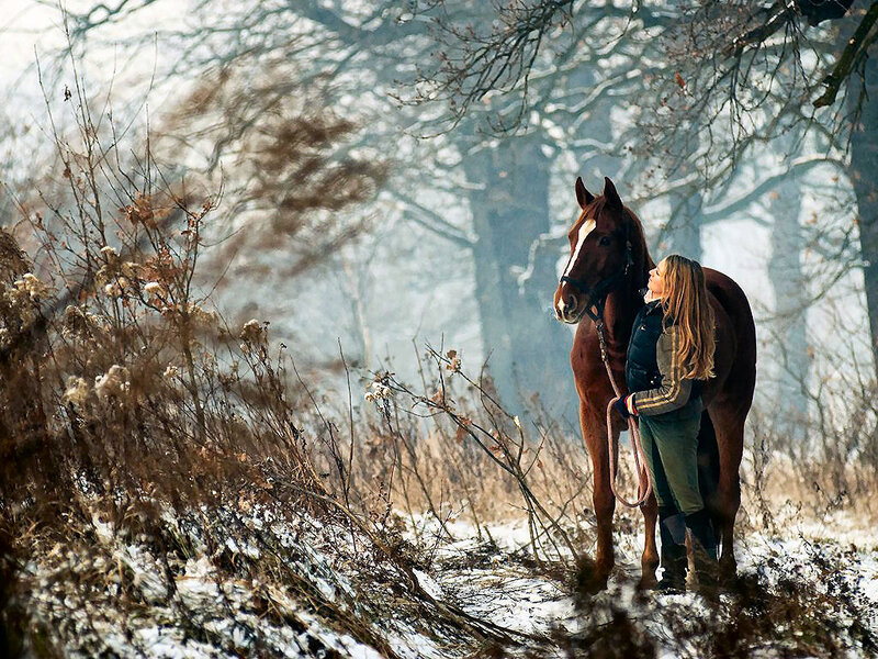 Woman with Horse in Winter — Brown