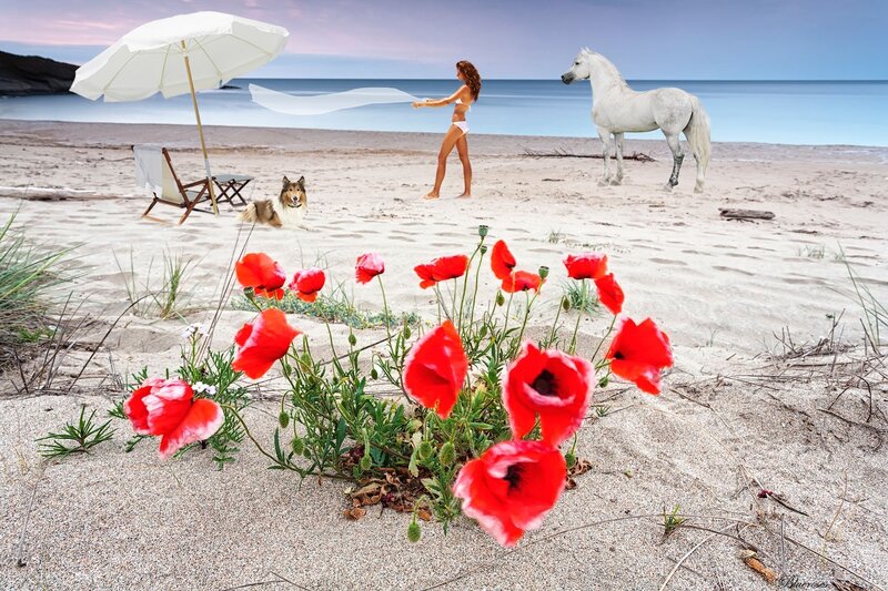 Woman with Horse on Beach — Red