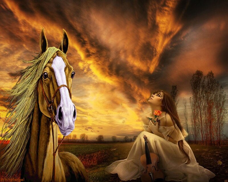 Woman with Horse — Orange, Dramatic