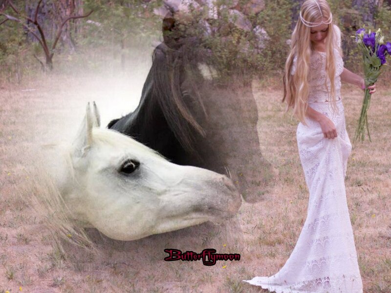Woman with Horse — White, Serene, Afternoon, Digital Art