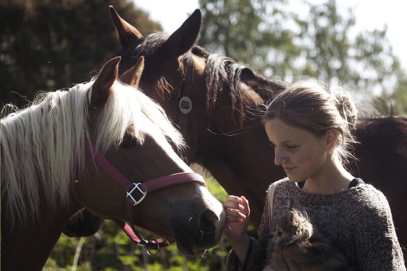 Woman with horses and dog
