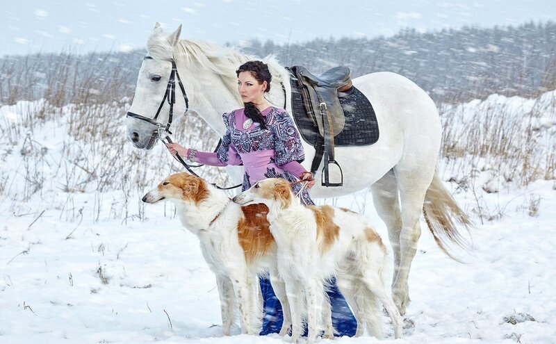Woman with Horses and Dogs
