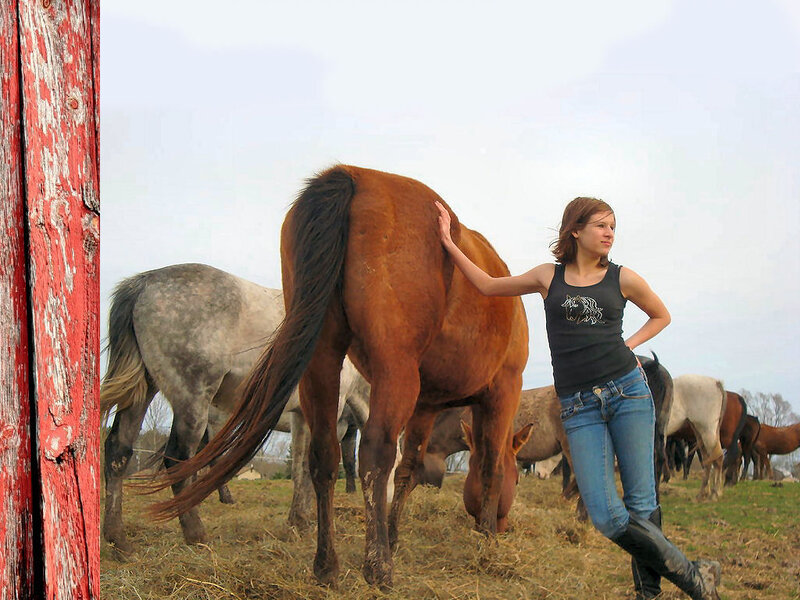 Woman with Horses — Brown, Calm