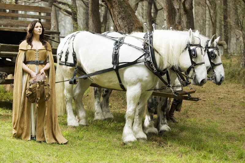 Woman with horses in forest