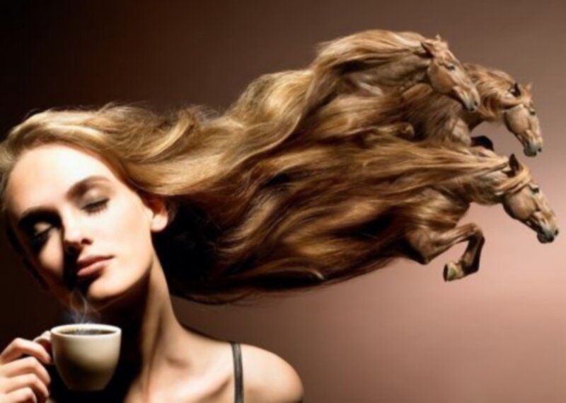 Woman with Horses in Hair — Brown, Dramatic