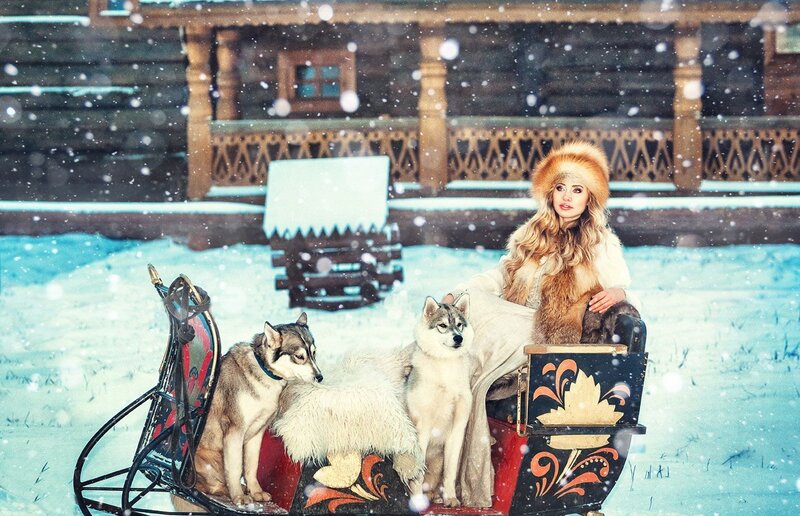 Woman with Huskies in Sleigh