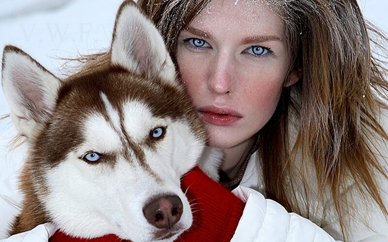 Woman with Husky Dog — White, Cold