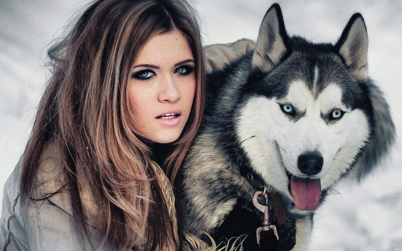 Woman with Husky Dog — White, Cold, Winter, Photograph, Snow