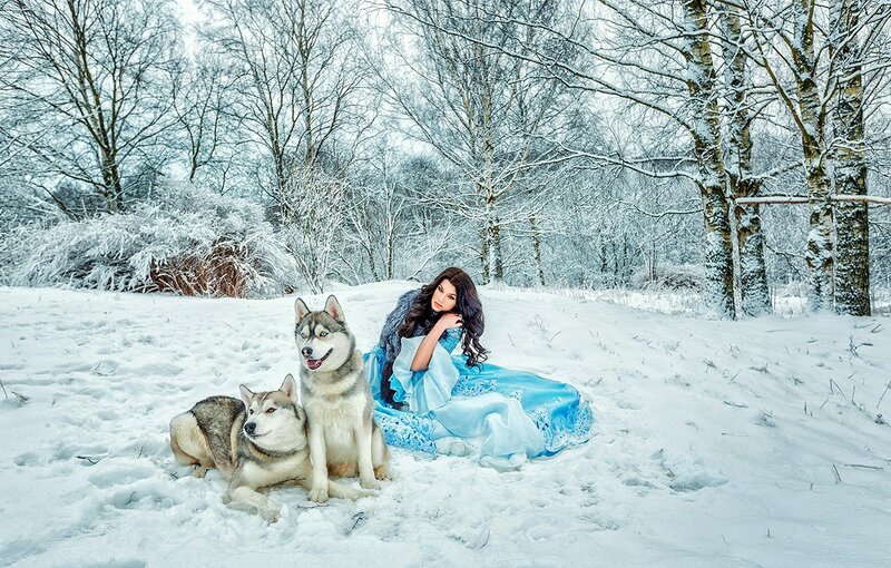 Woman with Husky Dogs — Blue
