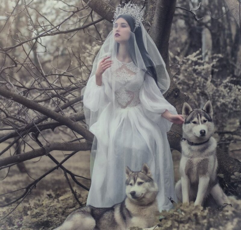 Woman with Husky Dogs — White, Dramatic, Autumn