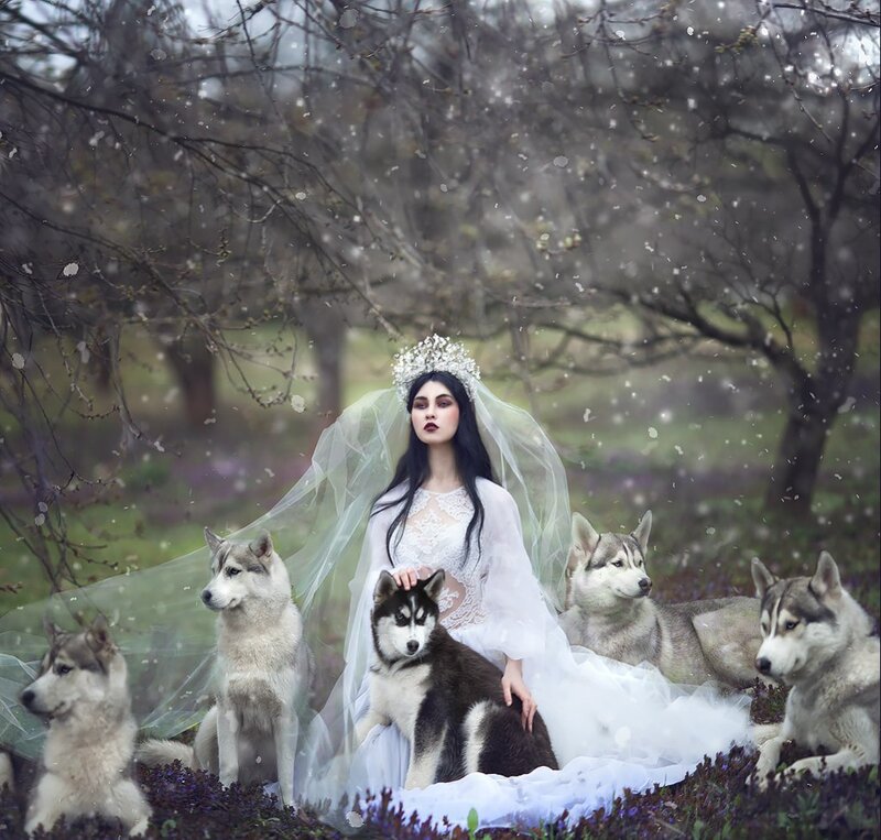 Woman with Husky Dogs — White, Dramatic