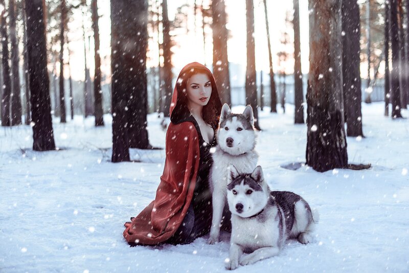 Woman with Husky Dogs — White, Dramatic, Winter