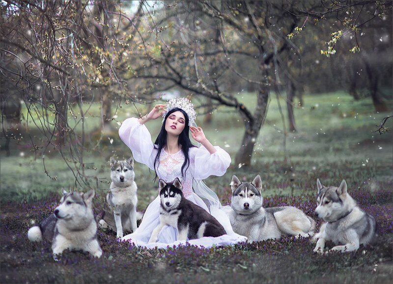 Woman with Husky Dogs — White, Serene