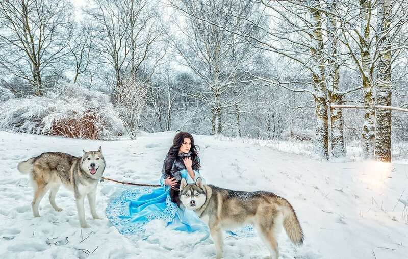 Woman with Husky Dogs — White, Serene, Winter, Photograph