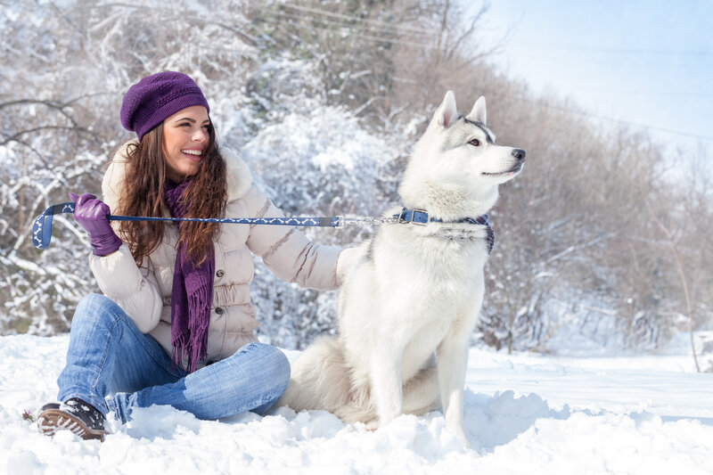 Woman with Husky in Snow — White, Calm