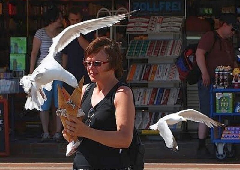 Woman with ice cream and seagulls