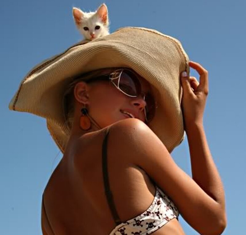 Woman with Kitten on Hat