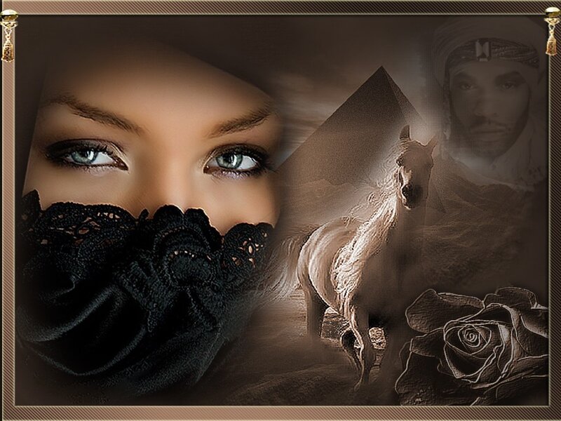 Woman with Lace Veil — Brown, Dramatic