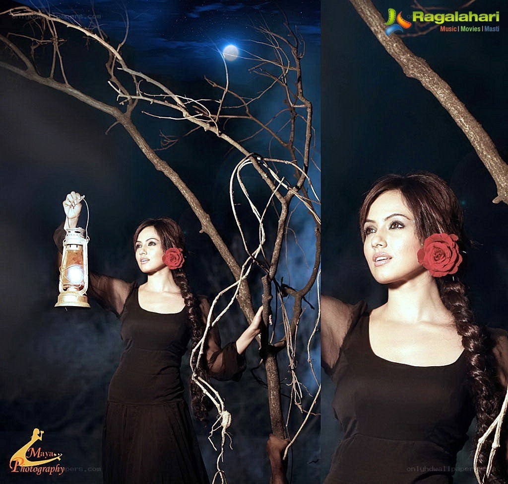 woman with lantern under moonlight