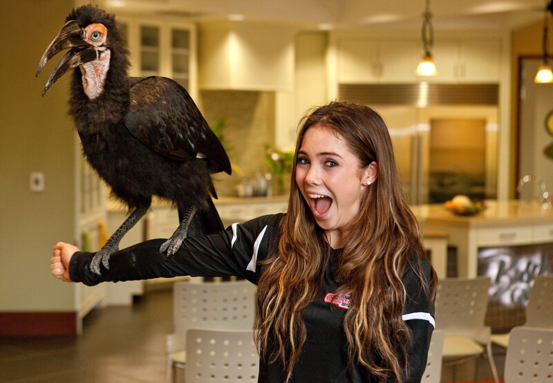 Woman with large bird on arm