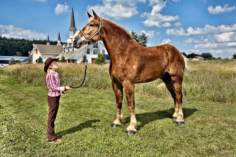 Woman with Large Horse