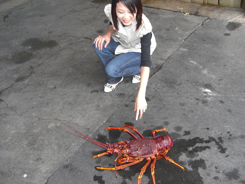 Woman with large lobster