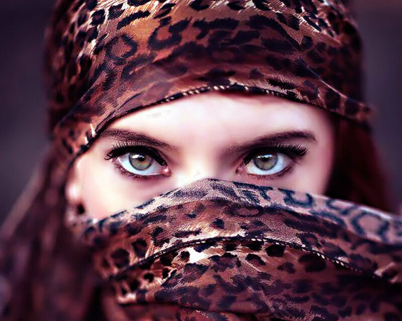 Woman with Leopard Scarf — Brown, Dramatic