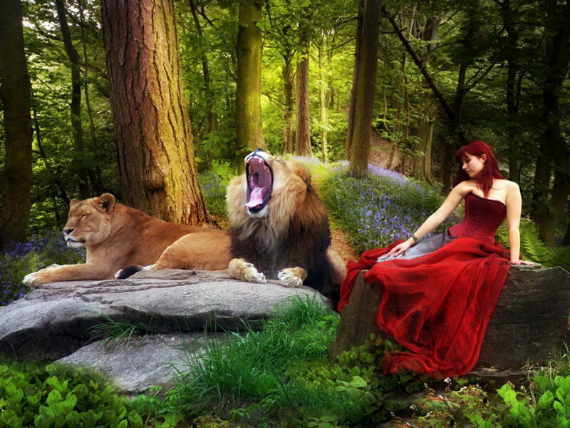 Woman with Lions in Forest