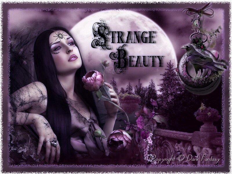 Woman with Long Black Hair — Purple, Dark