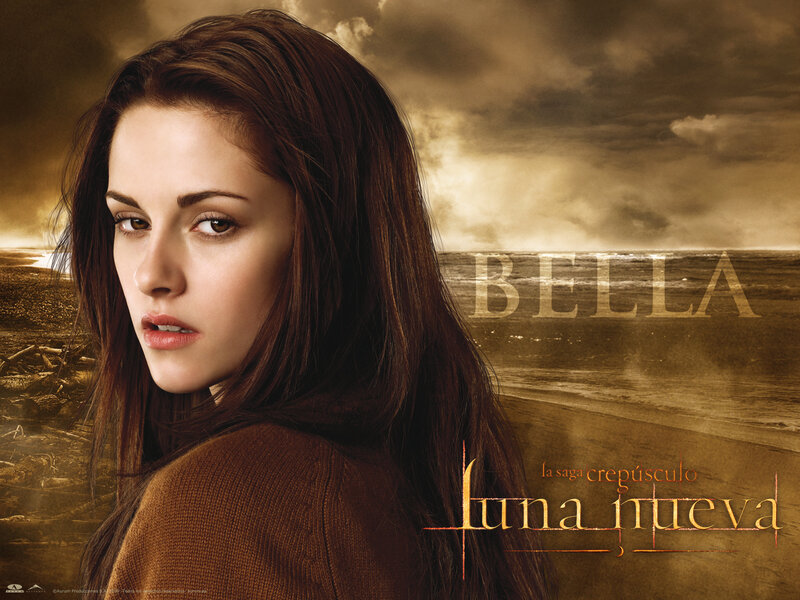 Woman with Long Brown Hair — Dramatic, Dusk, Photograph