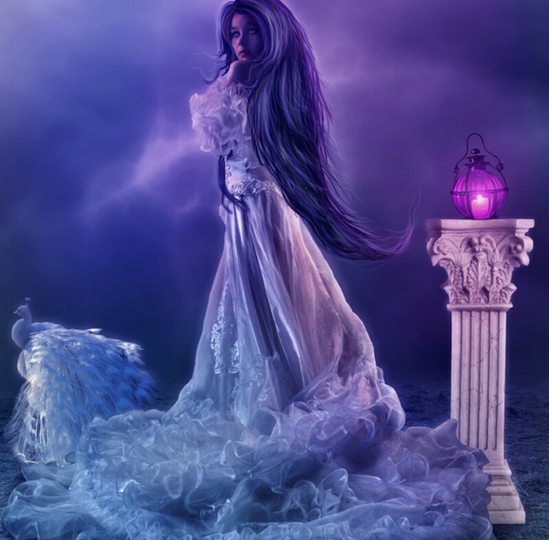 Woman with Long Hair — Purple, Dramatic, Night, Digital Art, Peacock
