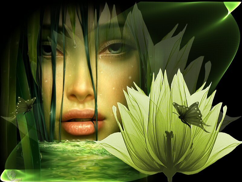 woman with lotus flower