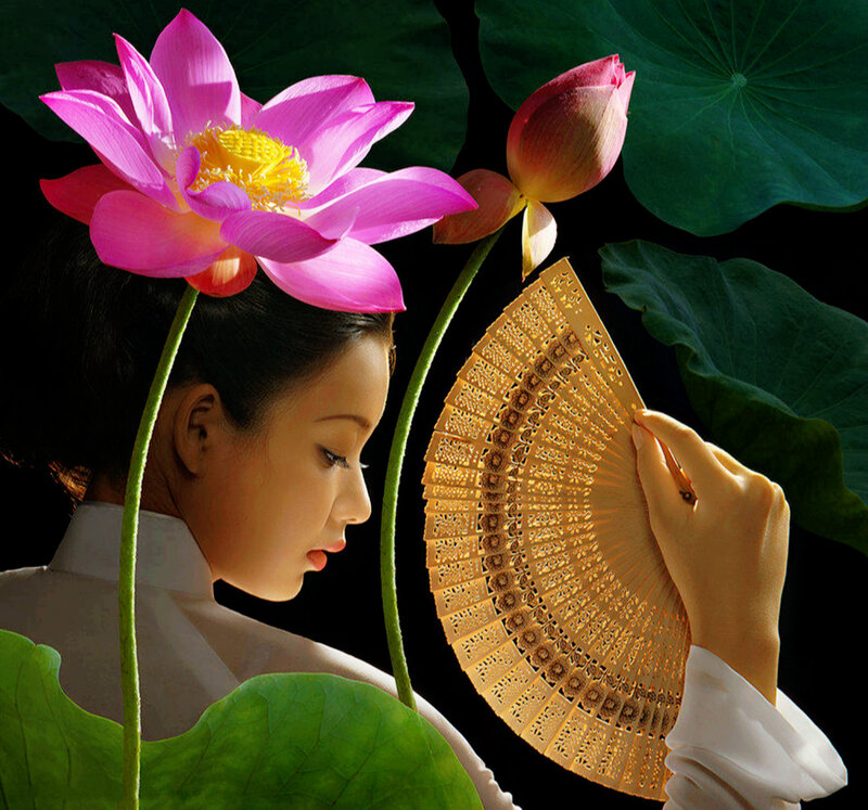 Woman with Lotus Flower — Pink, Serene, Photograph