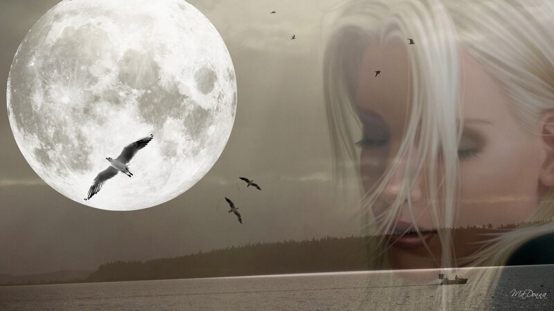 woman with moon and birds