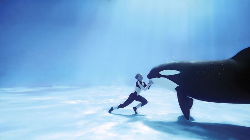 woman with orca underwater