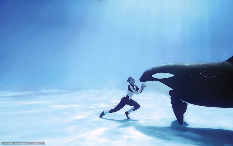 woman with orca underwater