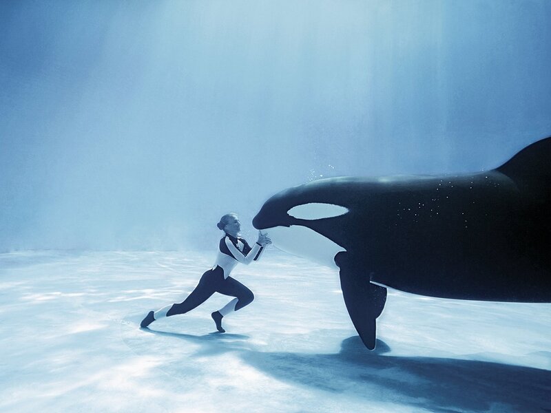 Woman with Orca Whale