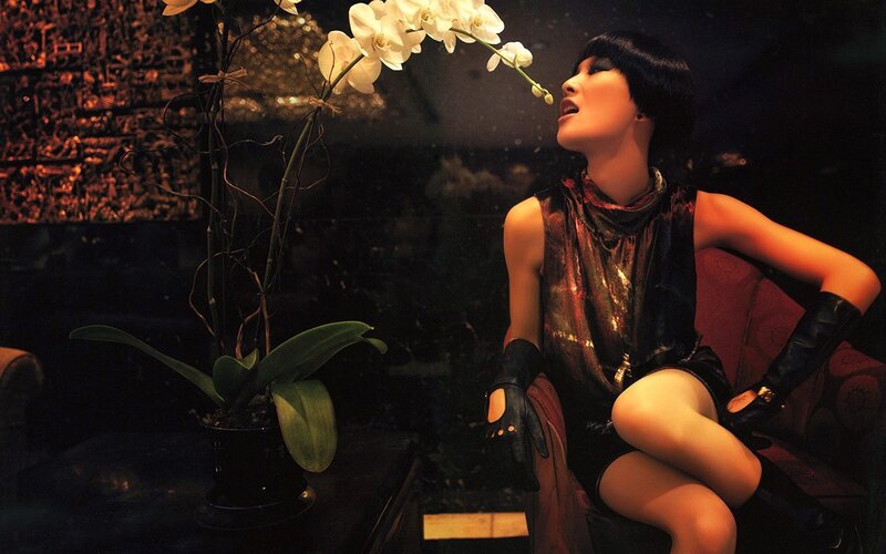 woman with orchid flower