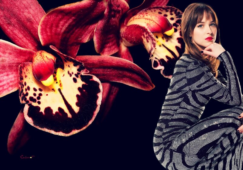 Woman with Orchid Flower — Black