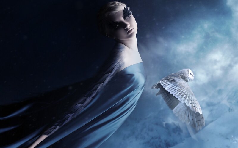 Woman with Owl — Blue, Dramatic, Night