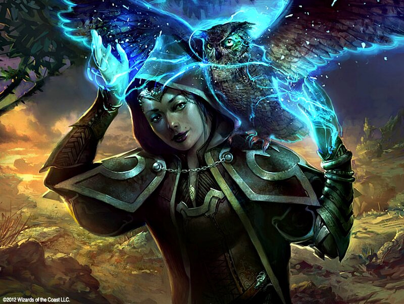 Woman with Owl — Blue, Dramatic, Sunset