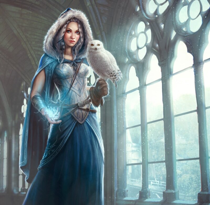 Woman with Owl — Blue, Dramatic, Winter