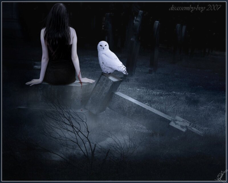 Woman with Owl in Cemetery