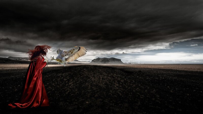 Woman with Owl in Field — Red
