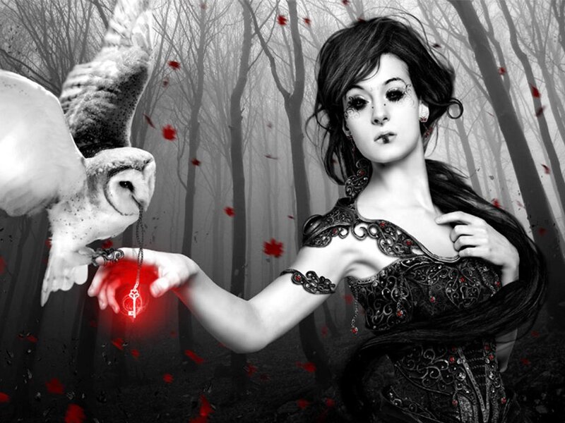 Woman with Owl in Forest — Black