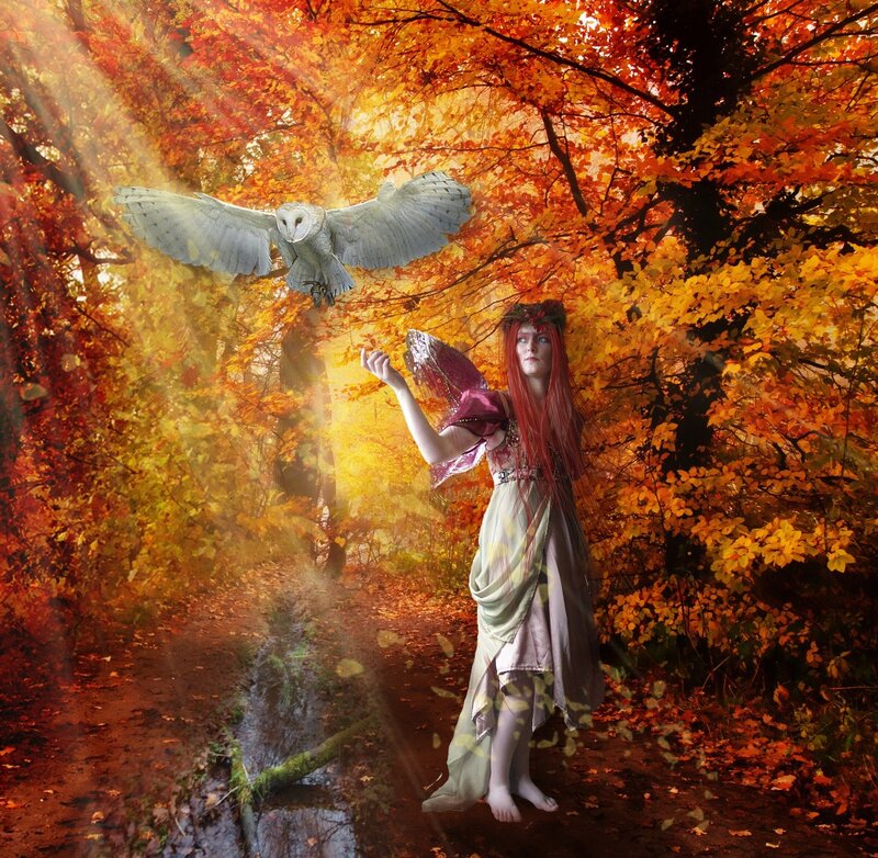 Woman with Owl in Forest — Orange