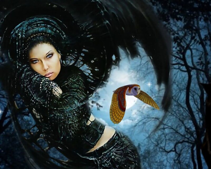 woman with owl in moonlight