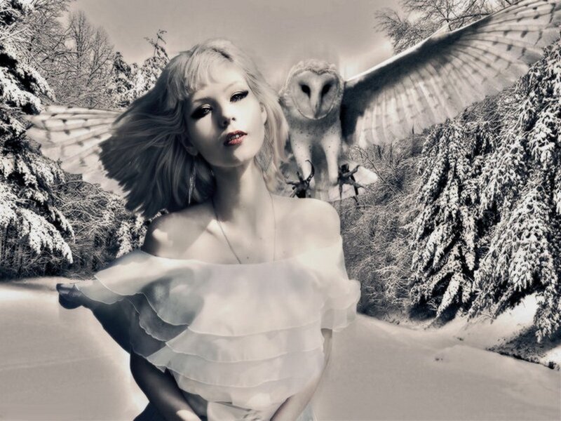 Woman with Owl in Snow — White, Dramatic