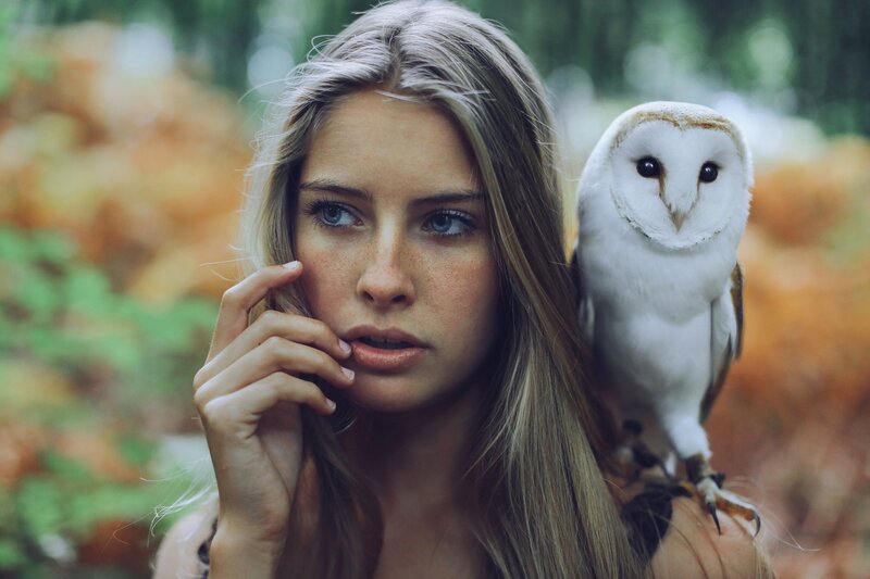 Woman with Owl — White, Serene, Autumn, Photograph