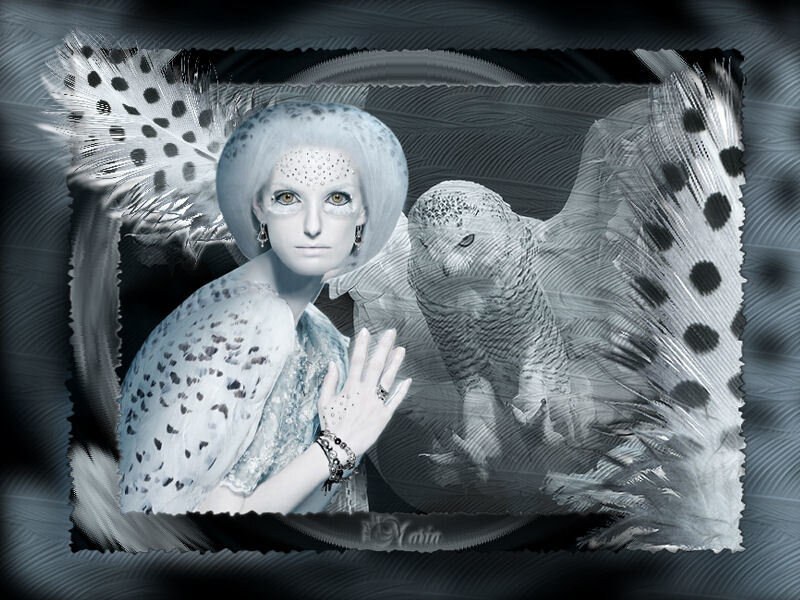 woman with owl wings